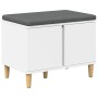 Banco de entrada con cojín con almacenamiento 60 x 38 x 46 cm en Bancos para recibidores y almacenamiento | Comprar online en Fo