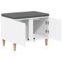 Banco de entrada con cojín con almacenamiento 60 x 38 x 46 cm en Bancos para recibidores y almacenamiento | Comprar online en Fo