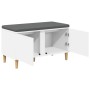 Banco de entrada con cojín con almacenamiento 60 x 38 x 46 cm en Bancos para recibidores y almacenamiento | Comprar online en Fo