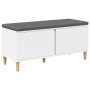 Banco de entrada con cojín con almacenamiento 60 x 38 x 46 cm en Bancos para recibidores y almacenamiento | Comprar online en Fo