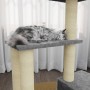 Rascador para gatos con postes de sisal gris claro 71 cm en Mobiliario para gatos | Comprar online en Foru.es