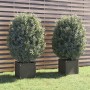 Jardineras 2 uds madera maciza de pino gris 40x40x40 cm en Macetas y jardineras | Comprar online en Foru.es