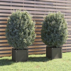 Jardineras 2 uds madera maciza de pino gris 40x40x40 cm en Macetas y jardineras | Comprar online en Foru.es