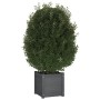 Jardineras 2 uds madera maciza de pino gris 40x40x40 cm en Macetas y jardineras | Comprar online en Foru.es