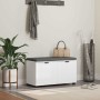 Banco de entrada con cojín con almacenamiento 80 x 38 x 46 cm en Bancos para recibidores y almacenamiento | Comprar online en Fo