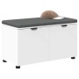 Banco de entrada con cojín con almacenamiento 80 x 38 x 46 cm en Bancos para recibidores y almacenamiento | Comprar online en Fo