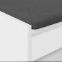 Banco de entrada con cojín con estante 100 x 38 x 46 cm en Bancos para recibidores y almacenamiento | Comprar online en Foru.es