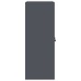 Armario de almacenamiento Antracita 60 x 40 x 105 cm en Armarios archivadores | Comprar online en Foru.es