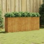 Jardinera acero corten 200x40x80 cm de vidaXL, Maceteros y jardineras - Ref: Foro24-824527, Precio: 226,05 €, Descuento: %