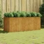 Jardinera acero corten 200x80x80 cm de vidaXL, Maceteros y jardineras - Ref: Foro24-824539, Precio: 277,90 €, Descuento: %