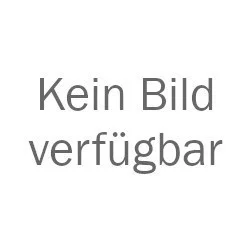ESG Glasduschwand transparent silber 80x195 cm