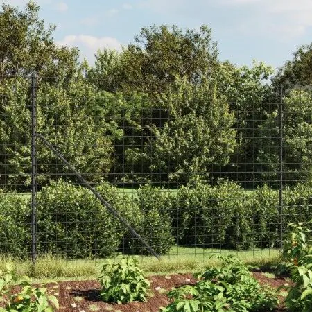 Wire fence with anthracite gray flange 1.6x25 m by vidaXL, fence panels - Ref: Foro24-154332, Price: 125,55 €, Discount: %