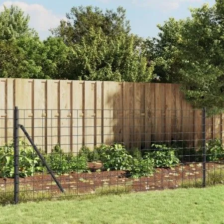 Wire fence with anthracite gray flange 1x25 m by vidaXL, fence panels - Ref: Foro24-154329, Price: 89,67 €, Discount: %