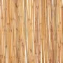 Valla de bambú 500x30 cm de vidaXL, Paneles de vallas - Ref: Foro24-142681, Precio: 64,49 €, Descuento: %