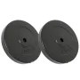Discos de pesas 2 uds 30 kg cemento de vidaXL, Peso libre - Ref: Foro24-93598, Precio: 81,75 €, Descuento: %