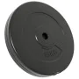 Discos de pesas 2 uds 30 kg cemento de vidaXL, Peso libre - Ref: Foro24-93598, Precio: 81,75 €, Descuento: %