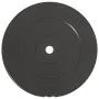 Discos de pesas 2 uds 30 kg cemento de vidaXL, Peso libre - Ref: Foro24-93598, Precio: 81,75 €, Descuento: %