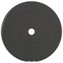 Placas de pesas 4 uds cemento 30 kg de vidaXL, Peso libre - Ref: Foro24-93597, Precio: 59,08 €, Descuento: %