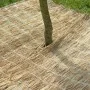 Nature funda protectora de paja de arroz para invierno 1x1,5 m 6030105 de Nature, Accesorios de jardinería - Ref: Foro24-4070...
