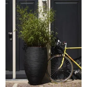 Capi Jarrón Nature Rib elegante Deluxe negro 45x72 cm de , Maceteros y jardineras - Ref: Foro24-434834, Precio: 189,44 €, Des...