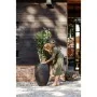 Capi Jarrón Nature Rib elegante Deluxe negro 45x72 cm de , Maceteros y jardineras - Ref: Foro24-434834, Precio: 189,44 €, Des...