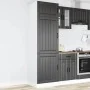 Mueble de cocina Lucca de madera contrachapada negro de , Armarios de cocina - Ref: Foro24-853868, Precio: 198,20 €, Descuent...