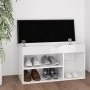 Banco zapatero con cojín madera de ingeniería blanco brillo de , Zapateros y organizadores de calzado - Ref: Foro24-326765, P...