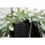 Capi Jardinera cuadrada Urban Smooth negra 30x30x30 cm KBL902 de , Maceteros y jardineras - Ref: Foro24-424341, Precio: 54,75...