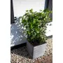 Capi Macetero Nature Rib cuadrado gris antracita 30x30 cm KOFZ902 de , Maceteros y jardineras - Ref: Foro24-424210, Precio: 4...