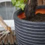 Capi Jarrón Nature Row elegante bajo gris antracita 36x47 cm KRWZ782 de , Maceteros y jardineras - Ref: Foro24-424278, Precio...