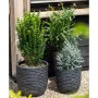 Capi Jarrón Nature Row elegante bajo gris antracita 36x47 cm KRWZ782 de , Maceteros y jardineras - Ref: Foro24-424278, Precio...