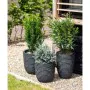 Capi Jarrón Nature Row elegante bajo gris antracita 36x47 cm KRWZ782 de , Maceteros y jardineras - Ref: Foro24-424278, Precio...