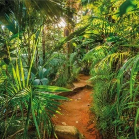 Komar Mural fotográfico Jungle Trail 368x254 cm de , Papel pintado - Ref: Foro24-425268, Precio: 79,96 €, Descuento: %