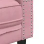 Sofá Chesterfield 2 plazas con cojines terciopelo rosa de , Sofás - Ref: Foro24-372686, Precio: 297,16 €, Descuento: %