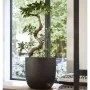 Capi Macetero Urban Smooth 43x41 cm negro KBL933 de , Maceteros y jardineras - Ref: Foro24-424348, Precio: 88,14 €, Descuento: %