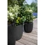 Capi Macetero Urban Smooth 43x41 cm negro KBL933 de , Maceteros y jardineras - Ref: Foro24-424348, Precio: 88,14 €, Descuento: %
