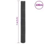 Membrana para malezas PP negra 1x100 m de , Mallas antihierbas - Ref: Foro24-4005217, Precio: 84,47 €, Descuento: %