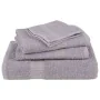 Toallas de mano 2 uds 100% algodón gris 50x100 cm 360 gsm de , Toallas - Ref: Foro24-136830, Precio: 16,81 €, Descuento: %