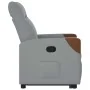 Sillón reclinable elevable de tela gris claro de , Sillones - Ref: Foro24-3324006, Precio: 272,59 €, Descuento: %