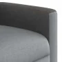 Sillón reclinable eléctrico tela gris claro de , Sillones - Ref: Foro24-3324038, Precio: 240,37 €, Descuento: %