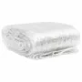 Lona transparente con ojales PVC 2x10 m de , Lonas impermeables - Ref: Foro24-4018597, Precio: 100,01 €, Descuento: %