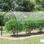 Lona transparente con ojales PVC 4x12 m von , Wasserdichte Planen - Ref: Foro24-4018611, Preis: 196,06 €, Rabatt: %