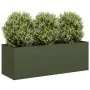 Jardinera de acero laminado en frío verde oliva 120x40x40 cm de , Maceteros y jardineras - Ref: Foro24-860678, Precio: 85,90 ...
