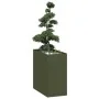 Jardinera acero verde oliva 40x80x80 cm de , Maceteros y jardineras - Ref: Foro24-860776, Precio: 99,83 €, Descuento: %