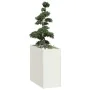 Jardinera acero blanco 40x80x80 cm de , Maceteros y jardineras - Ref: Foro24-860774, Precio: 94,28 €, Descuento: %