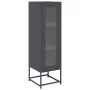 Aparador de acero laminado en frío antracita 36x39x123 cm de , Aparadores - Ref: Foro24-853394, Precio: 93,85 €, Descuento: %