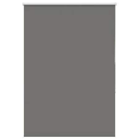 Estor Enrollable Opaco gris 100x175 cm Tela Ancho 95,7 cm de , Persianas y estores - Ref: Foro24-4011154, Precio: 22,28 €, De...