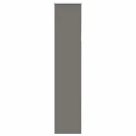 Estor Enrollable Opaco gris 40x210 cm Tela Ancho 35,7 cm de , Persianas y estores - Ref: Foro24-4011168, Precio: 16,44 €, Des...