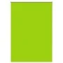 Estor Enrollable Opaco hojas verde 100x175 cm Tela Ancho 95,7cm de , Persianas y estores - Ref: Foro24-4011284, Precio: 21,95...