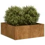 Jardinera oxidada acero corten 80x80x30 cm de , Maceteros y jardineras - Ref: Foro24-860807, Precio: 53,45 €, Descuento: %